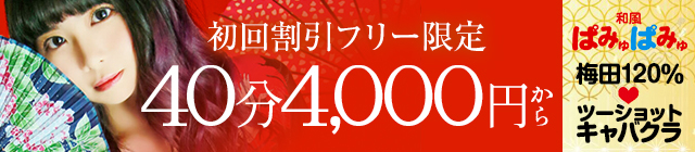 和風ぱみゅぱみゅ総本舗