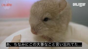 みく