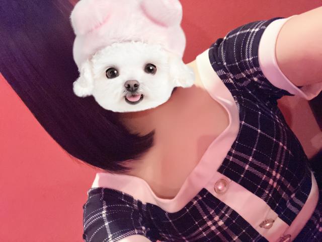 めい