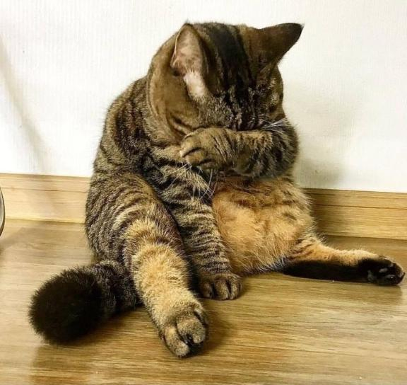 あいか
