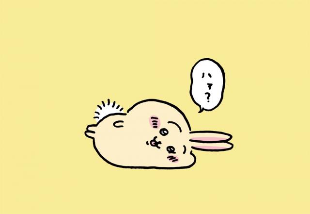 うさぎ