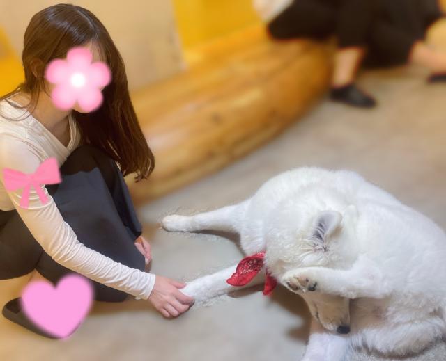 あまね