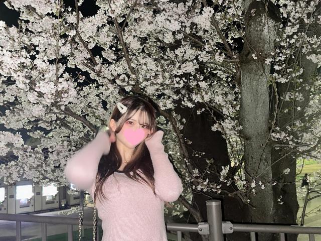 池袋みつばちマーヤZブロガー