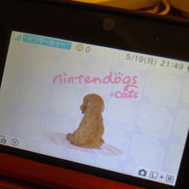 まりん