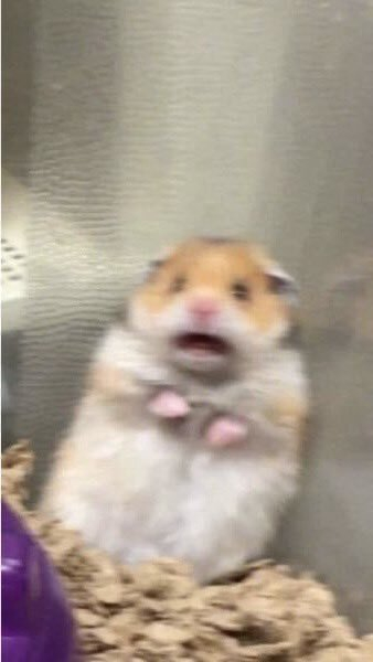 めんま