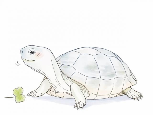 ももこ