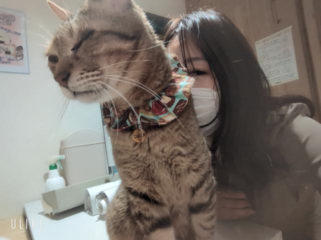 るい
