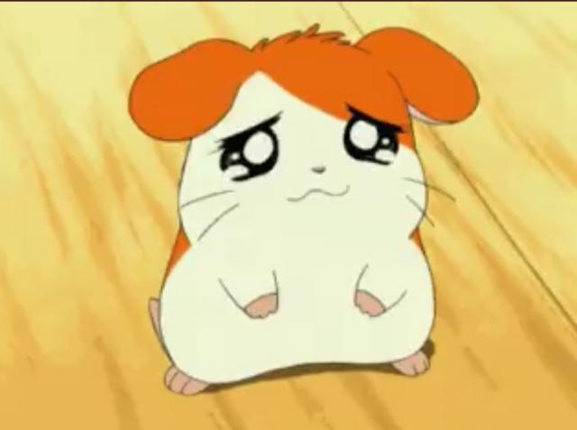 ひなこ