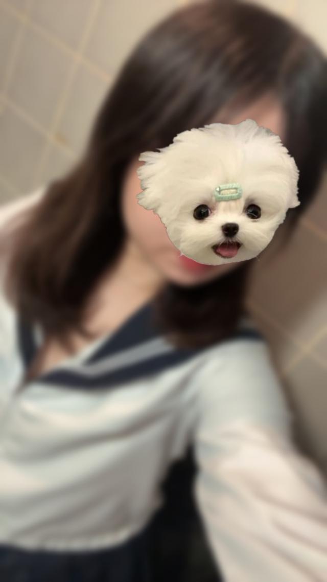 ゆき
