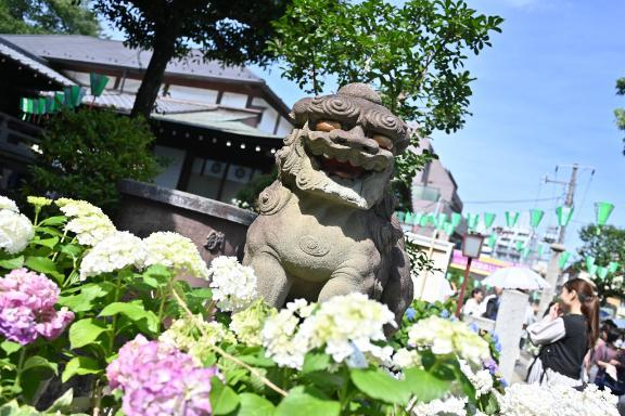 あやね