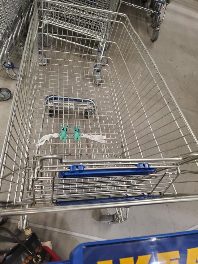 椿
