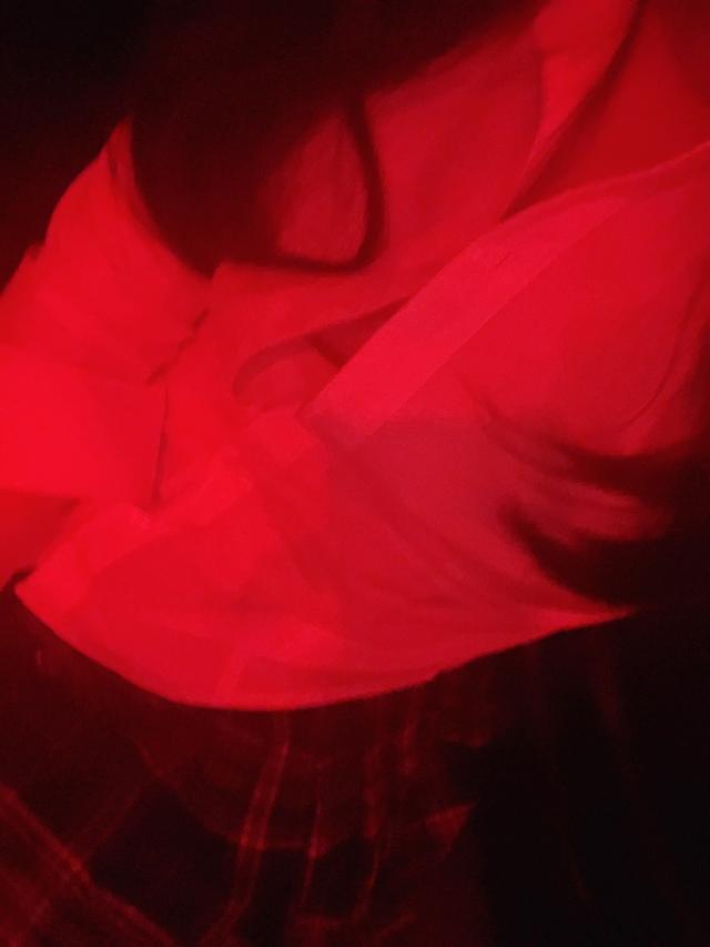 こむぎ