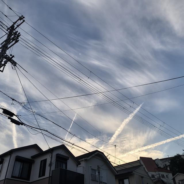 ゆう