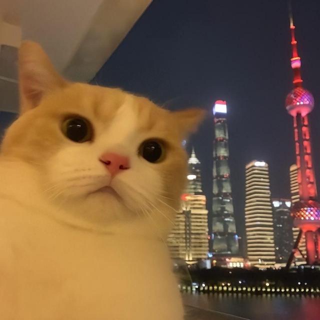 なのは