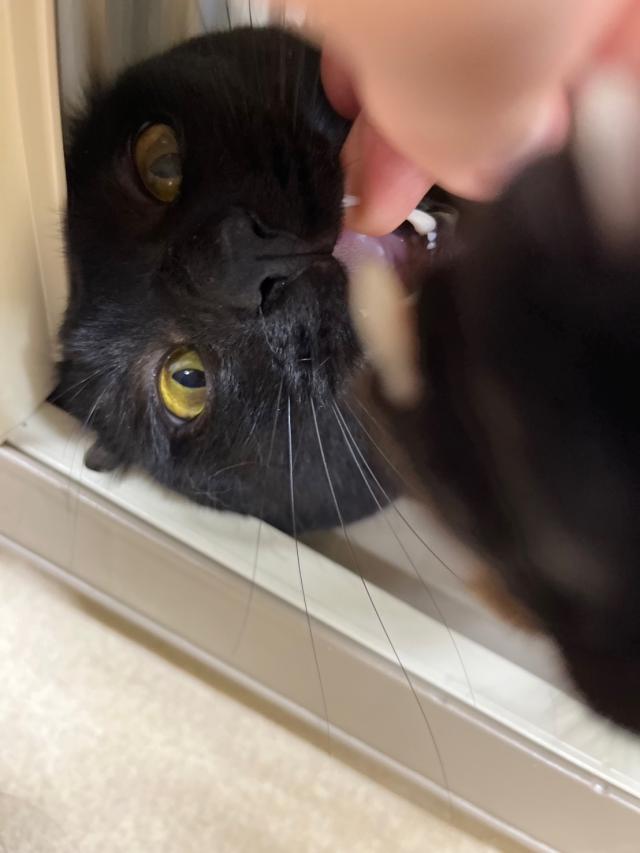 すばる