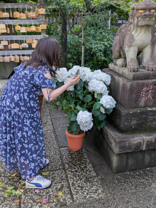 るい
