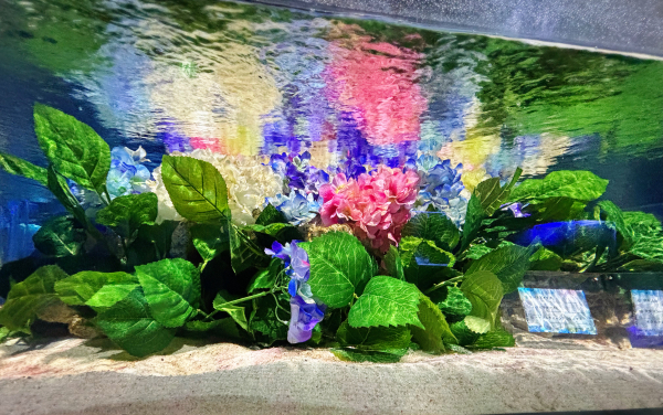 ひび