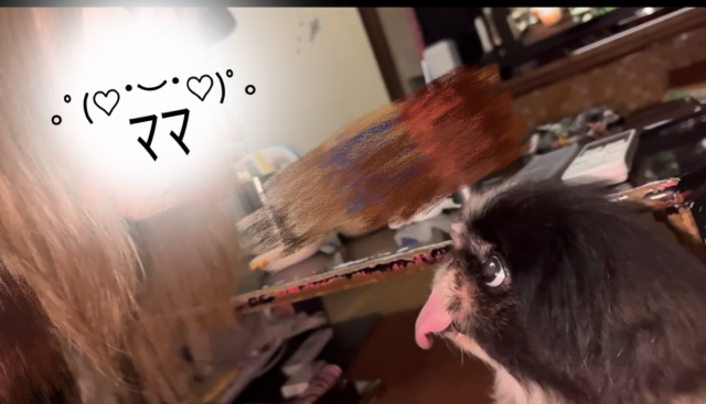 ゆう