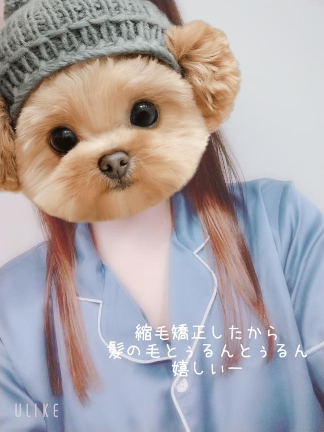 みゆき