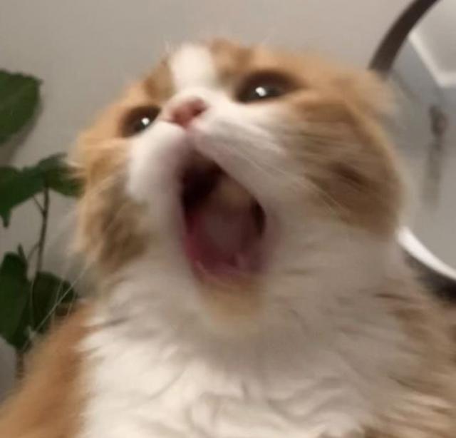 なのは