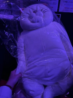 ゆずき