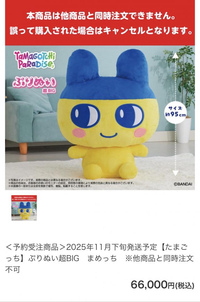 こころ