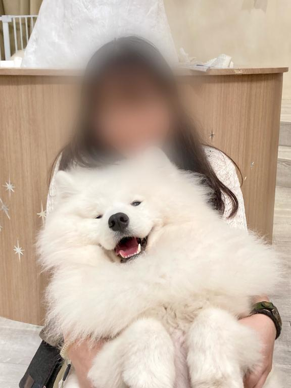 はな