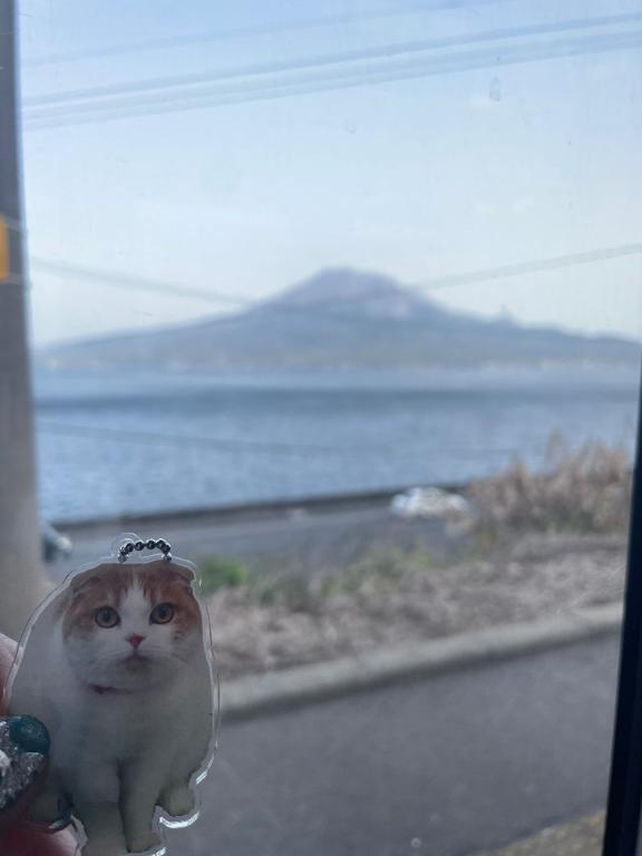 あずさ