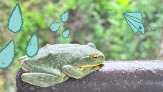 ゆう