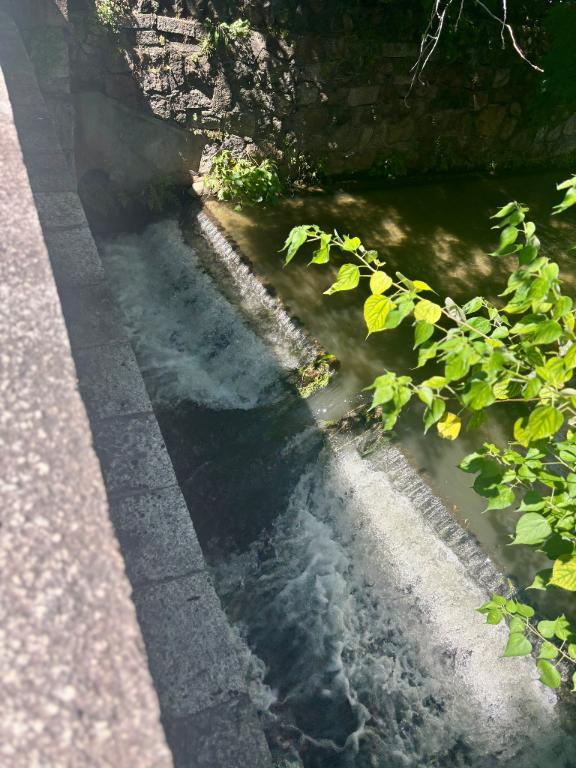 こう
