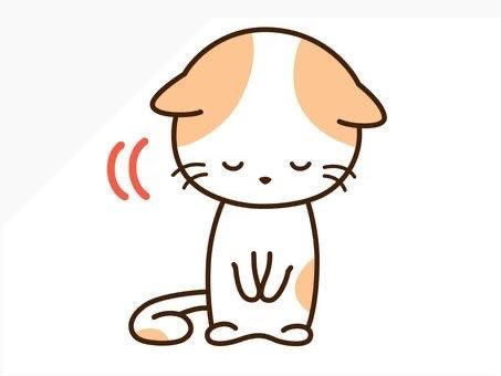 ひまり