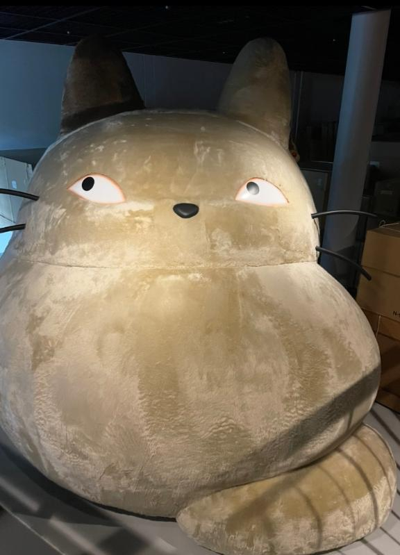 いずみ