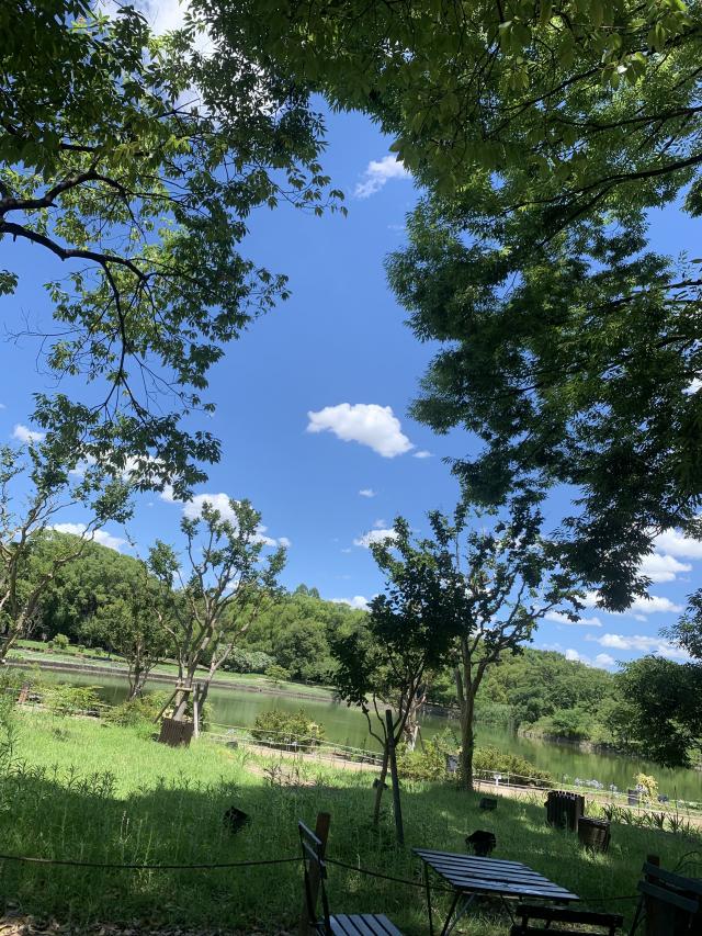 ひかる（梅田堂山女学院）