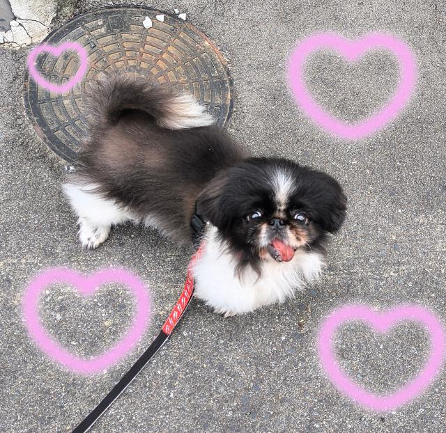 ゆう