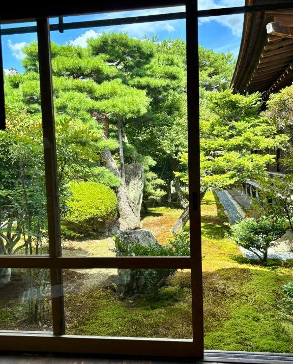 こう