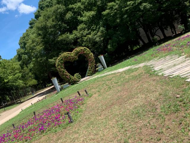 ひかる（梅田堂山女学院）