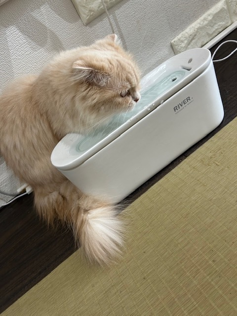 すばる