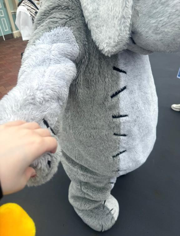 いずみ