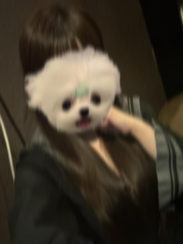りせ