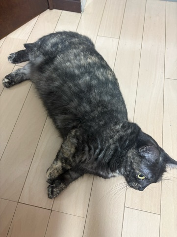 りりちよ