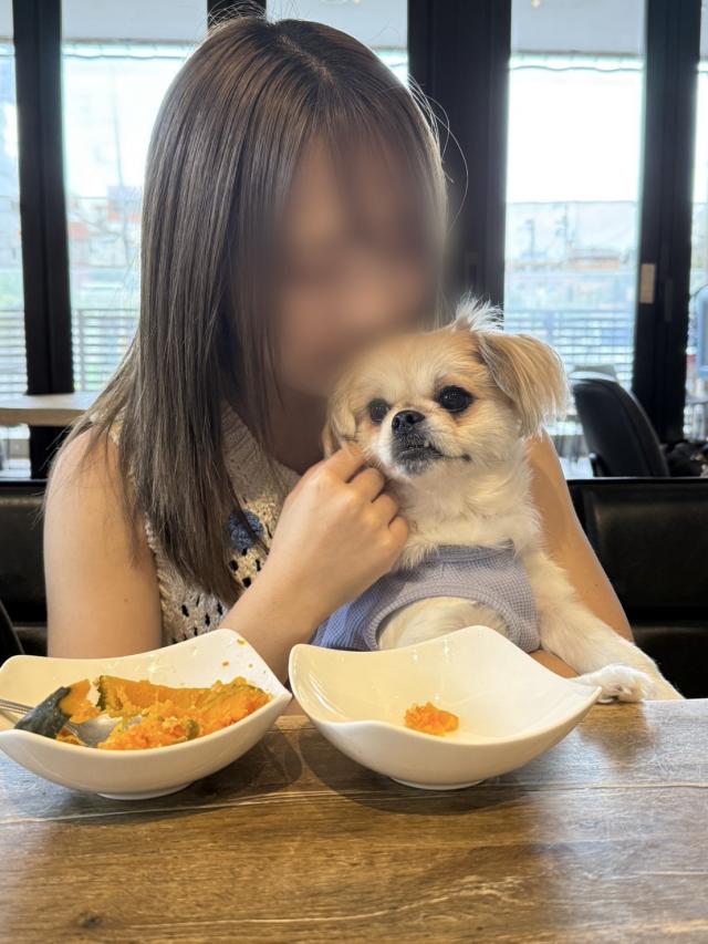 まなか
