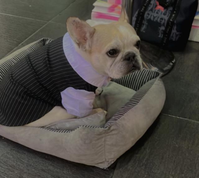 こより
