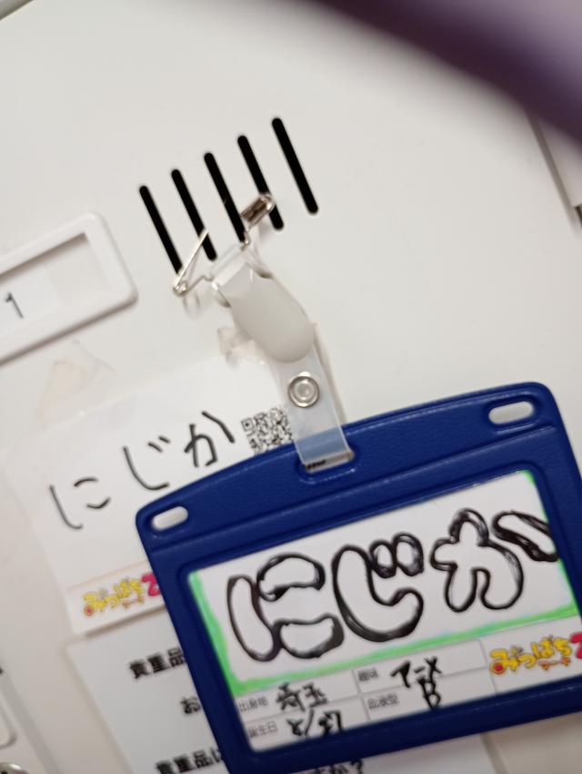 にじか