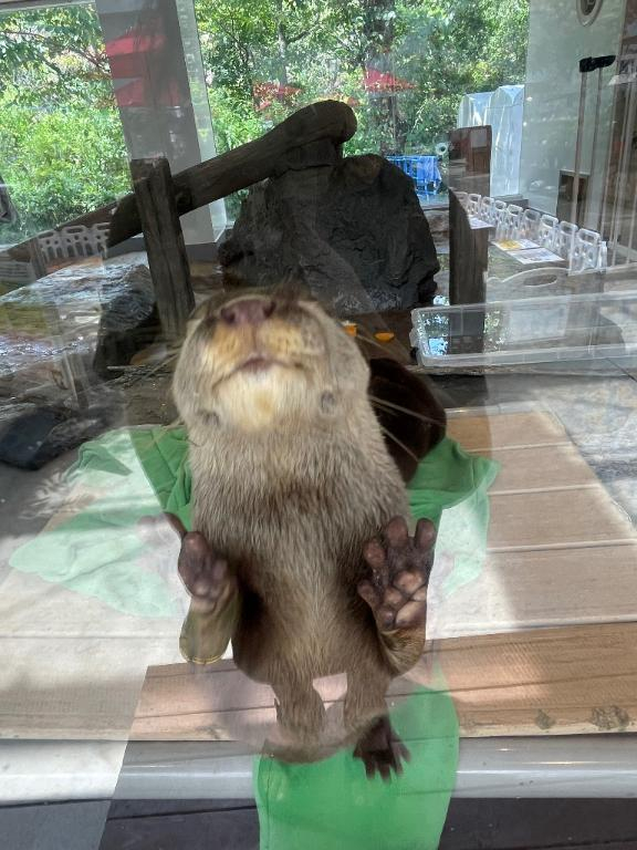 さち