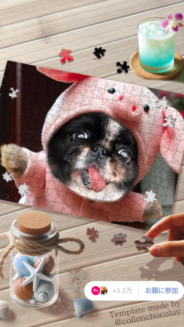 ゆう