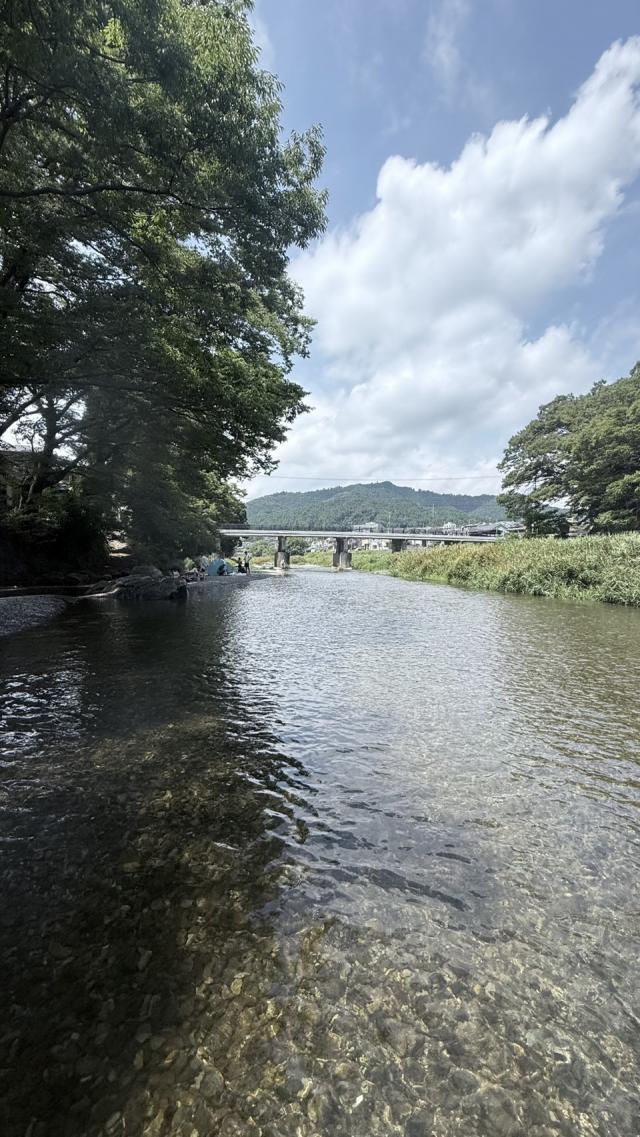 せな