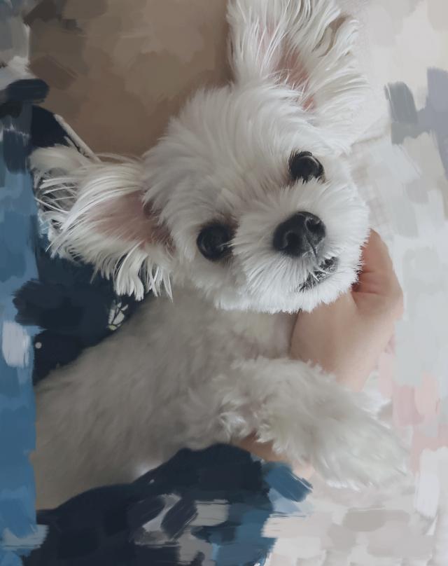 はな
