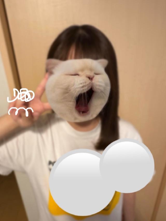 ひなこ