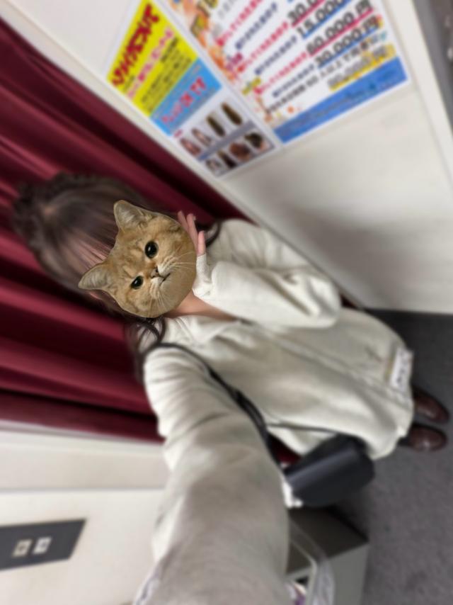 ひなこ