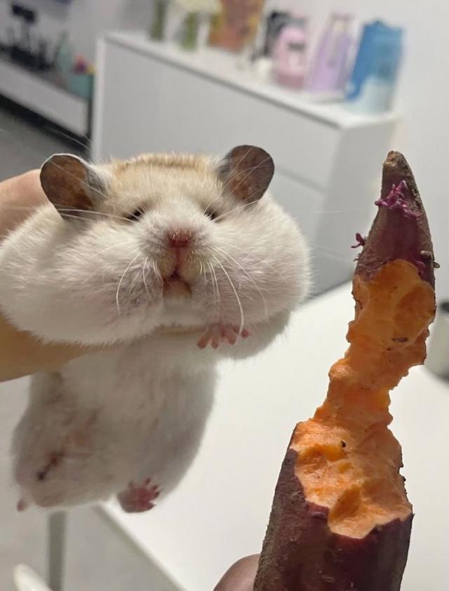 なのは
